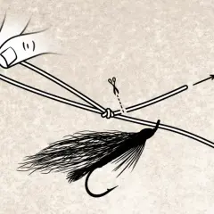 Schritt 4: Die Schnur wird durch die Schlaufe geführt, um die Fliege zu binden. Ein kleiner Pfeil zeigt die Richtung an, in der die Schnur abgeschnitten wird.