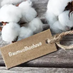 Baumwollhochzeit: Zwei Jahre voller Liebe, so zart und rein wie diese Baumwollblüten.