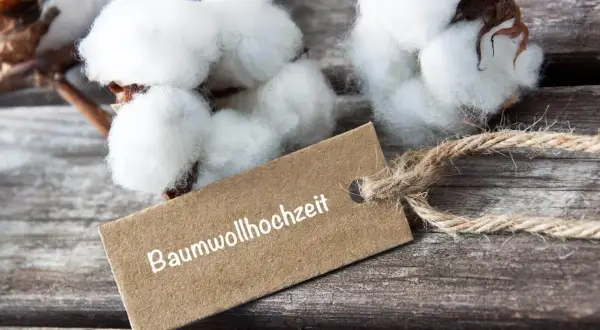 Baumwollhochzeit: Zwei Jahre voller Liebe, so zart und rein wie diese Baumwollblüten.
