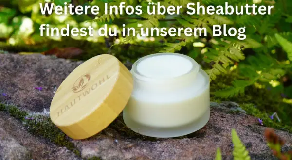 Ein Glas Sheabutter mit Holzdeckel steht im Grünen. Erfahre mehr über die Sheabutter Wirkung Haut in unserem Blog.