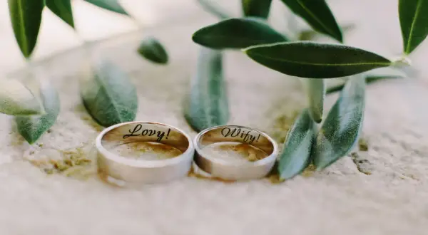 Zwei Ringe, "Lovy!" und "Wify!", liegen neben Olivenzweigen. Ein schönes Symbol für den 29. Hochzeitstag.