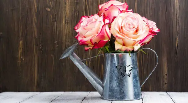 Ein Strauß Rosen in einer Gießkanne mit Schmetterlingsmotiv. Ein Symbol für 33 Jahre verheiratet, voller Liebe und Wachstum.