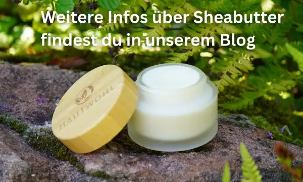Ein Glas Sheabutter mit Holzdeckel steht im Grünen. Erfahre mehr über die Sheabutter Wirkung Haut in unserem Blog.